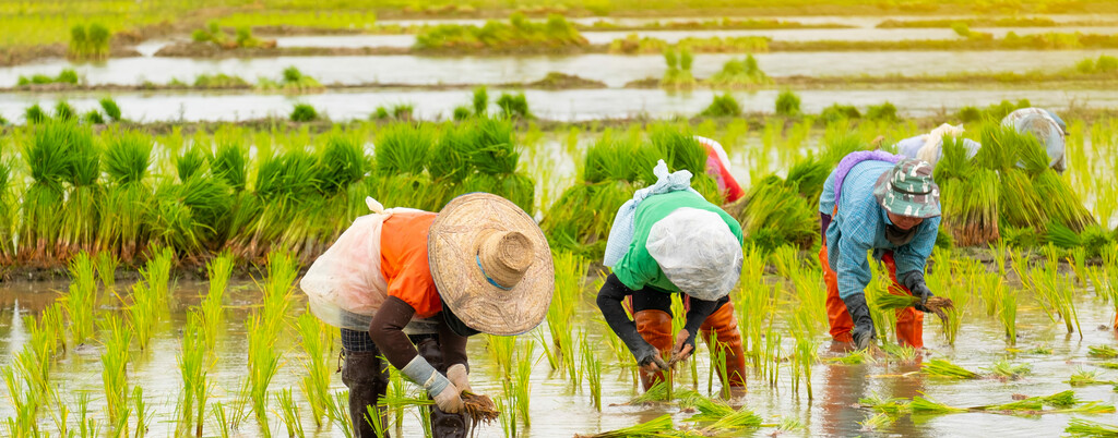 Agriculture actions