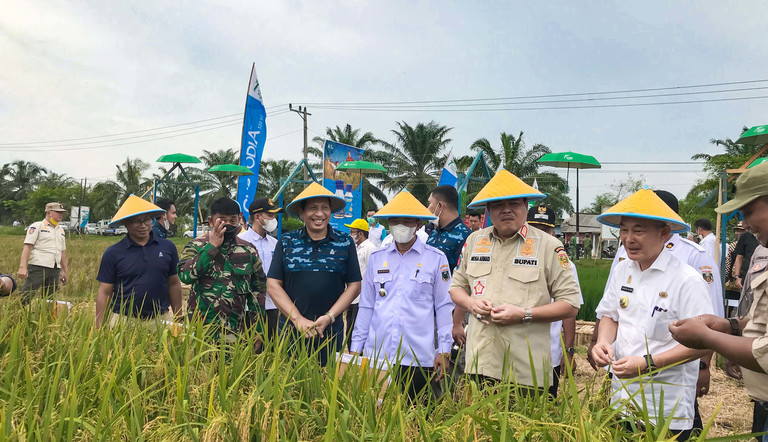 Kumpul Petani Padi Lampung