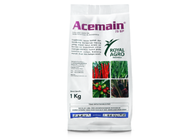 ACEMAIN 75 SP