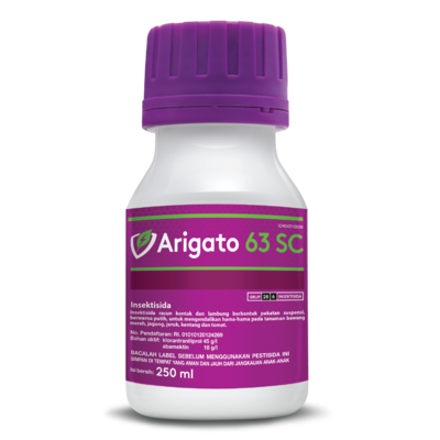 Arigato 65 SC
