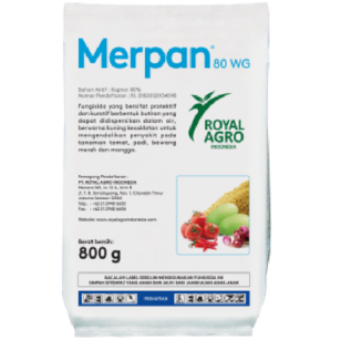 MERPAN 80 WG