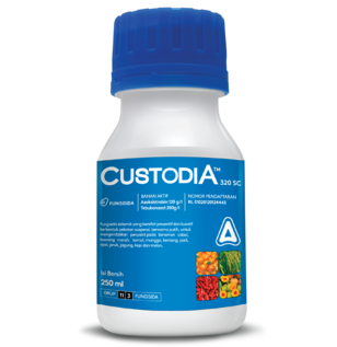 Custodia