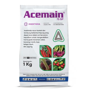 Acemain