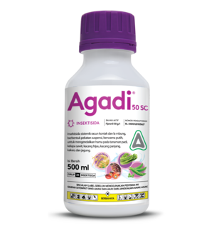 Agadi