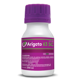 Arigato 65 SC