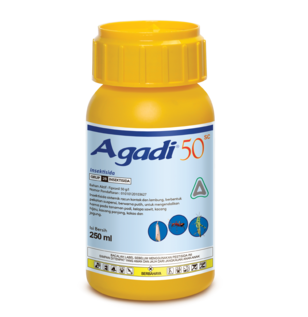 Agadi 50 SC