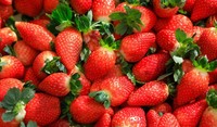 Strawberries Up Close